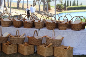 Anna Picnic baskets