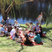 Picture Purrrfect Picnic – part 2