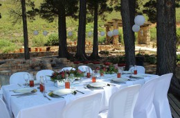 La Pineta ‘under the pines’