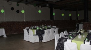 Polka and Lime table3