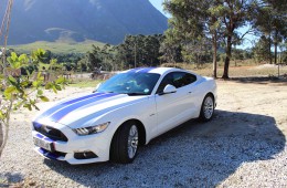 Mustang Sally ~ Hermanus Intimate Wedding