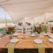 Country Love ~ Beaumont near Hermanus Wedding