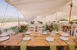 Country Love ~ Beaumont near Hermanus Wedding